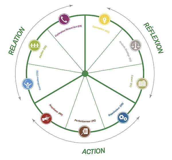 Roue des Rôles en Équipe de Belbin ou comment mieux travailler ensemble