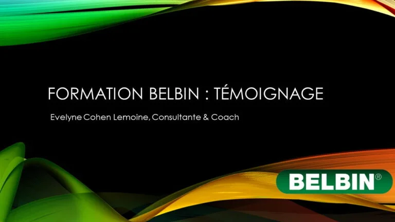 témoignage utilisateur Belbin