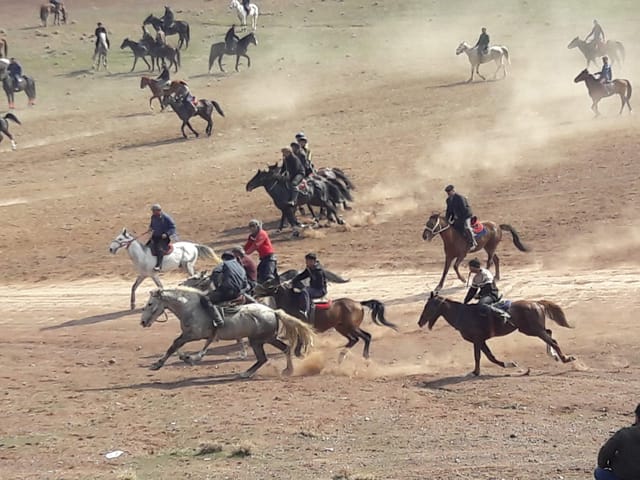 Bouzkachi en Ouzbekistan : pour illustrer l'article Belbin
