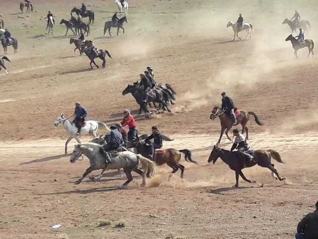 Bouzkachi en Ouzbekistan : pour illustrer l'article Belbin